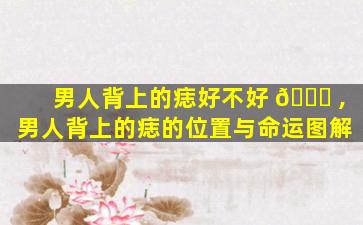 男人背上的痣好不好 🐒 ,男人背上的痣的位置与命运图解
